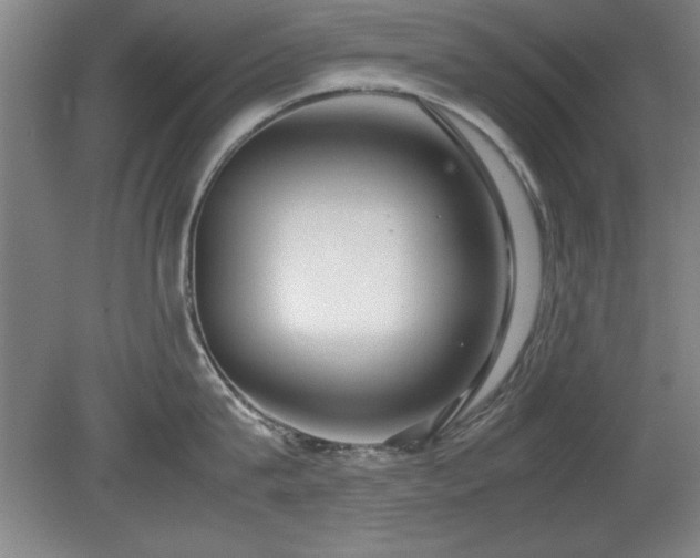 X0000079320815200611171121