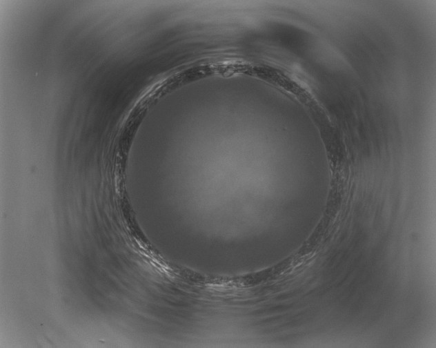 X0000079320823200611171120