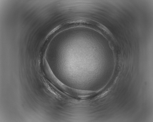 X0000079320826200611171120