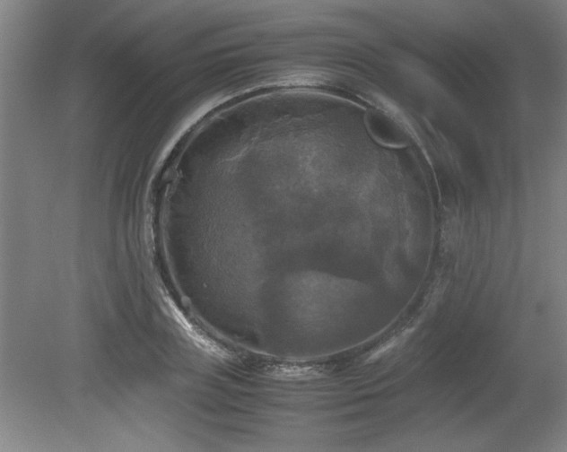 X0000079320835200611171121