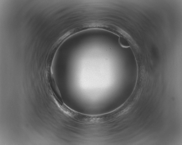 X0000079320841200611171121