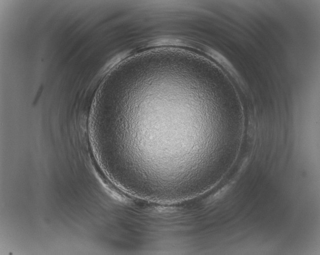 X0000079320849200611171121