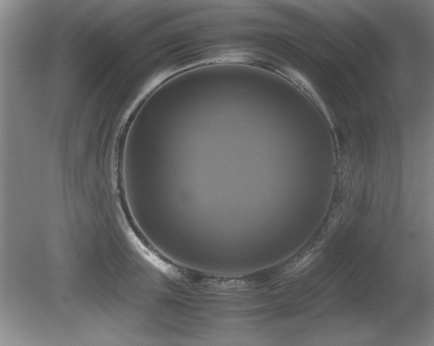 X0000079320851200611171121