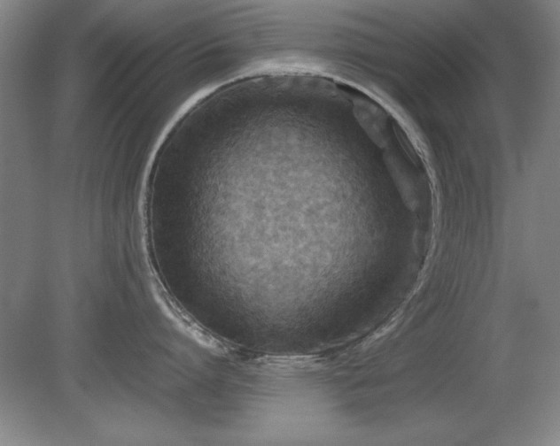 X0000079320864200611171121