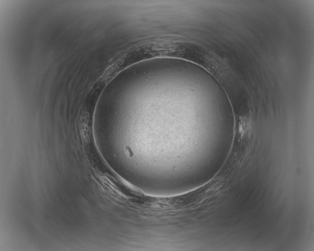 X0000079320867200611171120