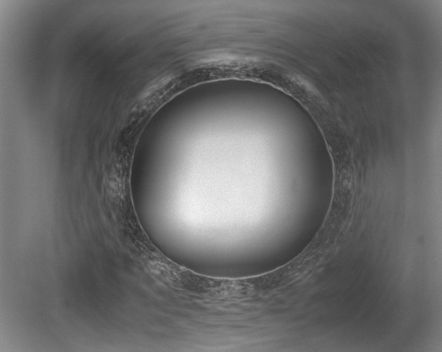X0000079320869200611171120