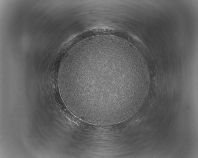X0000079320870200611171120
