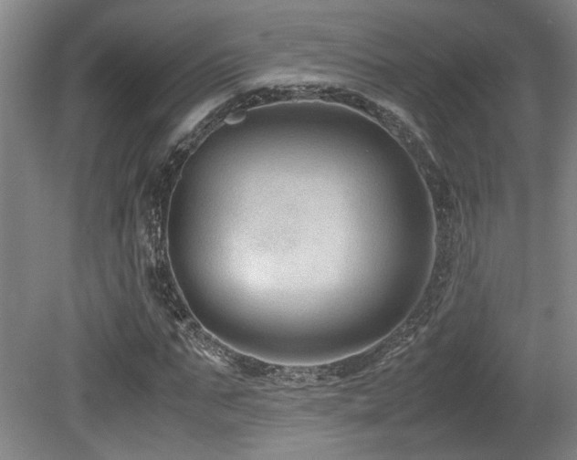 X0000079320871200611171120