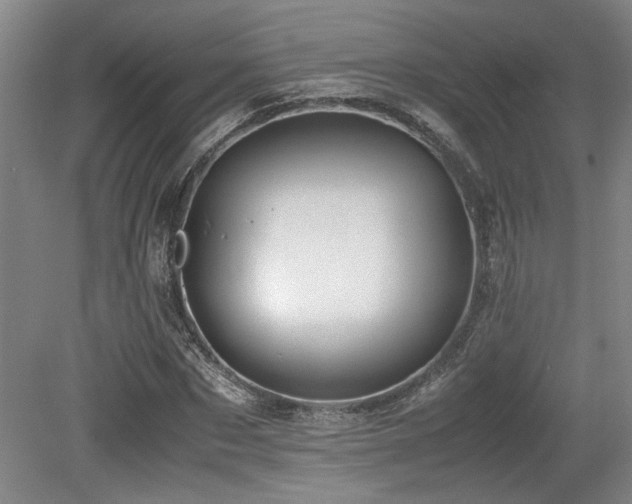 X0000079320873200611171120