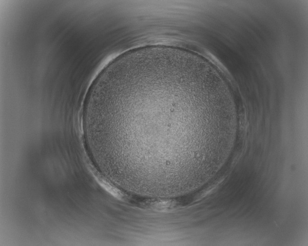 X0000079320891200611171120