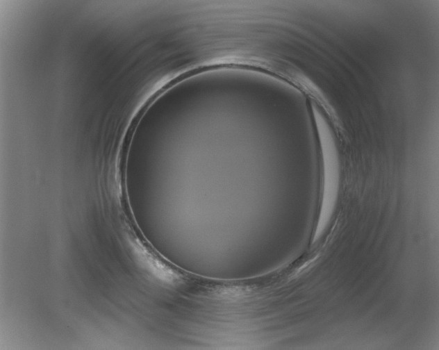 X0000079320892200611171120