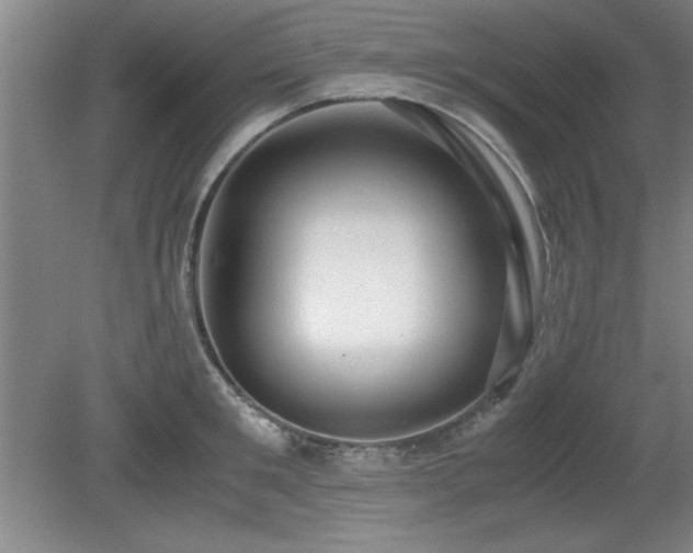 X0000079320901200611171120