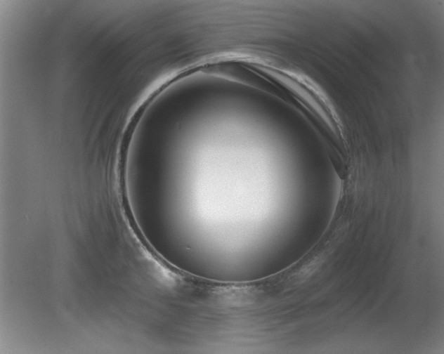 X0000079320902200611171120