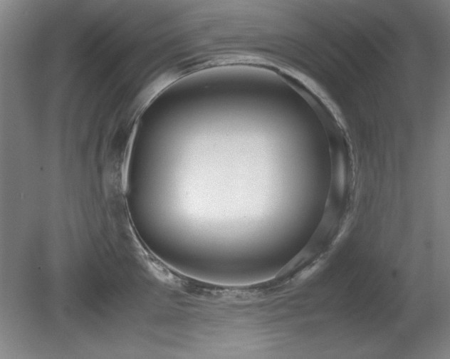 X0000079320905200611171120