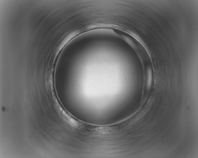 X0000079320906200611171120