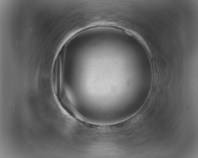 X0000079320911200611171119