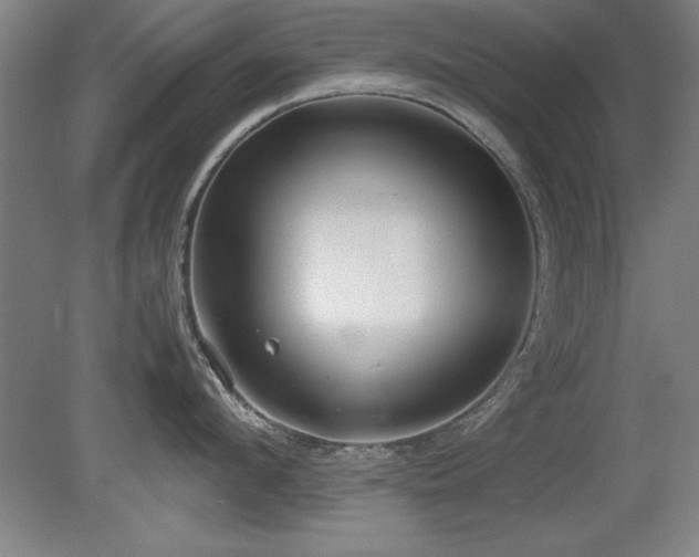 X0000079320912200611171119