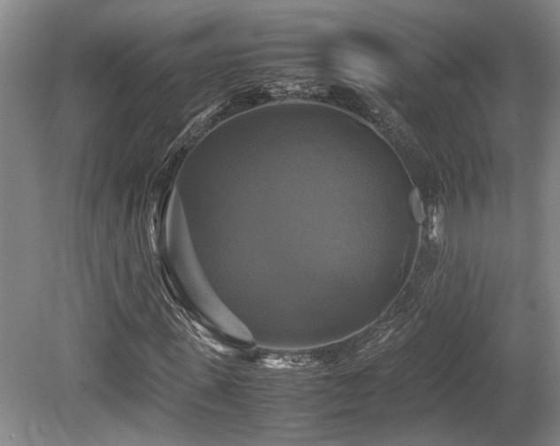 X0000079320915200611171119