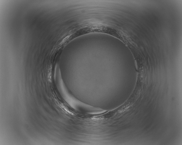 X0000079320916200611171119