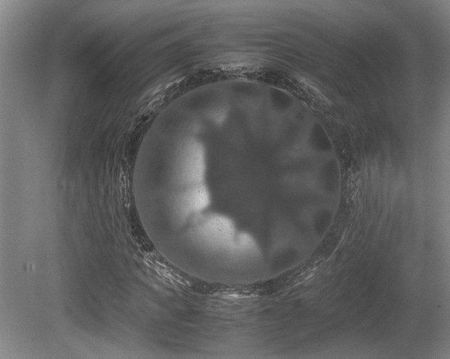 X0000079320917200611171119
