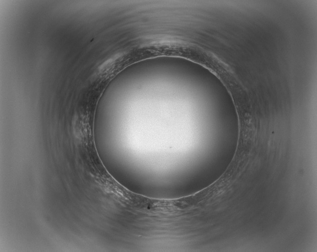 X0000079320918200611171119