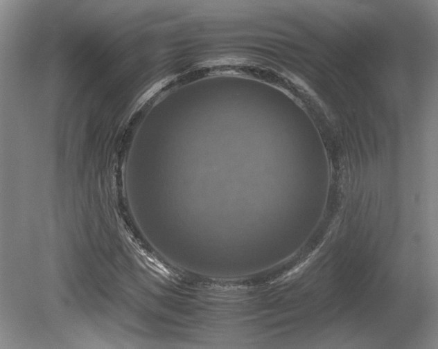 X0000079320921200611171119