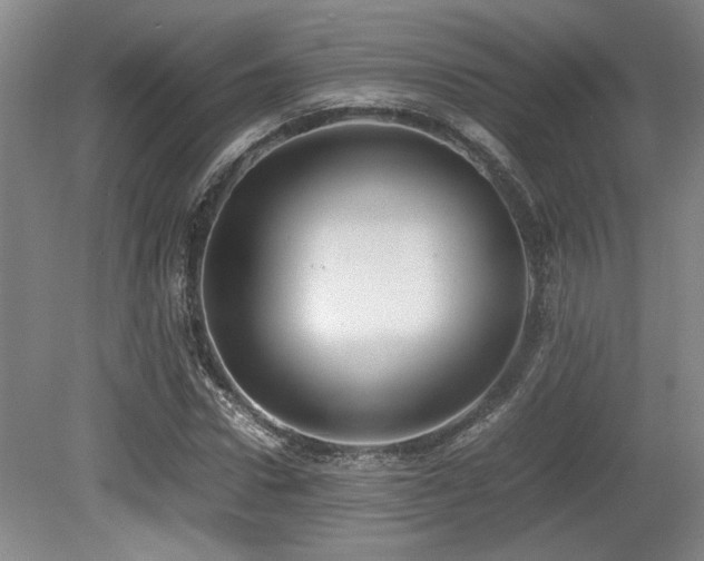 X0000079320922200611171119
