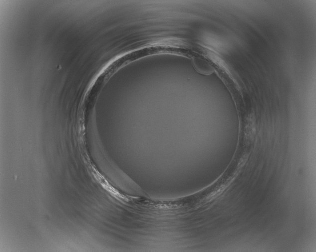 X0000079320923200611171119