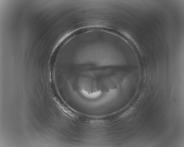 X0000079320925200611171119