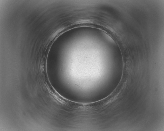 X0000079320929200611171119