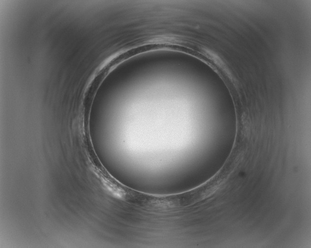 X0000079320931200611171119