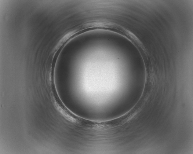 X0000079320938200611171119