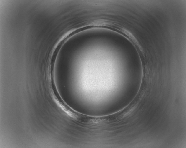 X0000079320939200611171119