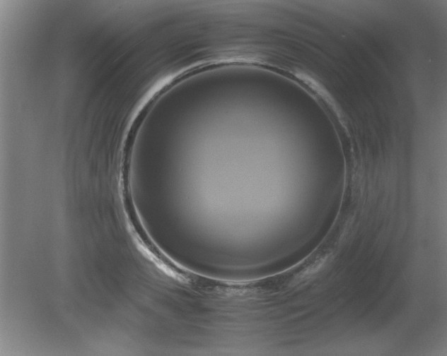 X0000079320941200611171119