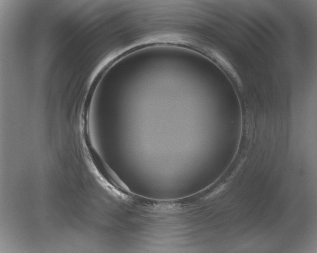 X0000079320944200611171119
