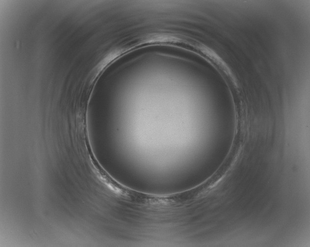 X0000079320945200611171119
