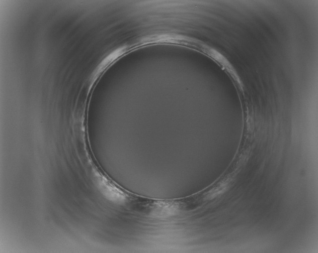 X0000079320954200611171119