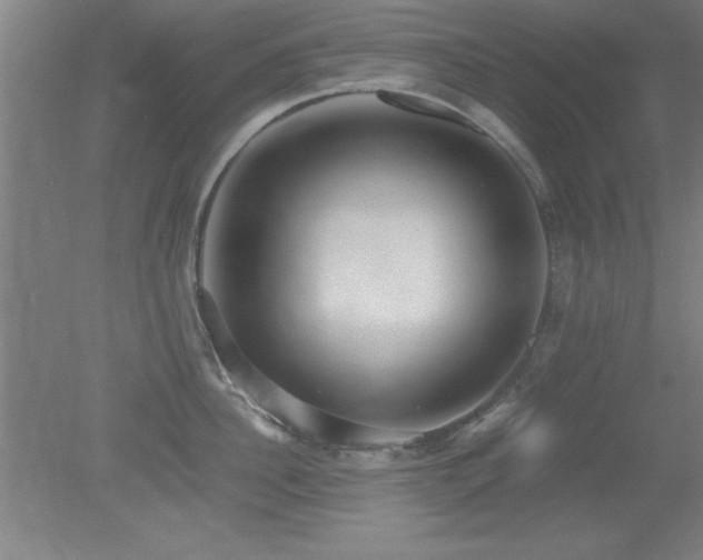X0000079320956200611171119