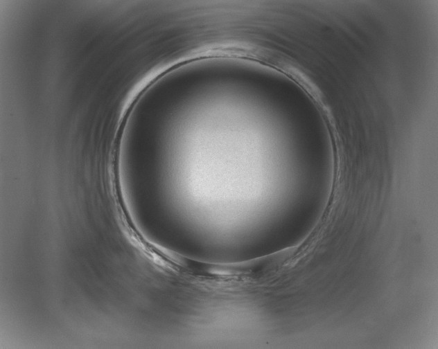 X0000079320960200611171119