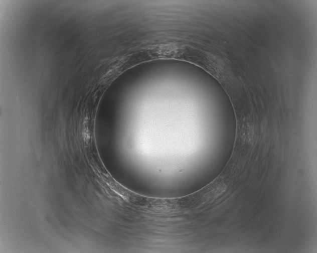 X0000079320962200611171119