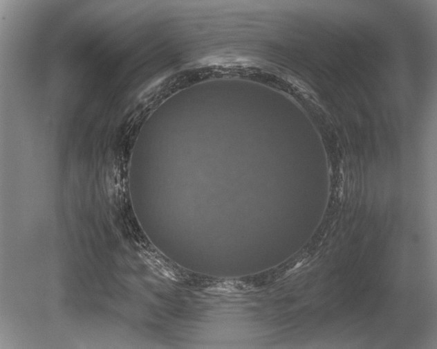 X0000079320966200611171119