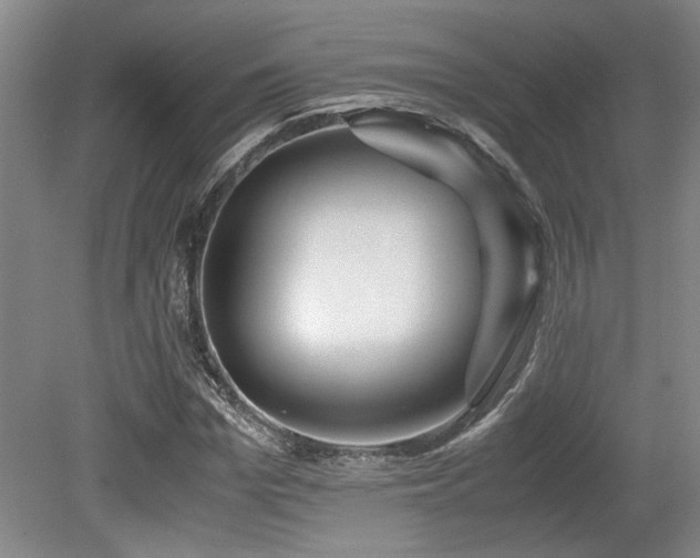 X0000079320969200611171118
