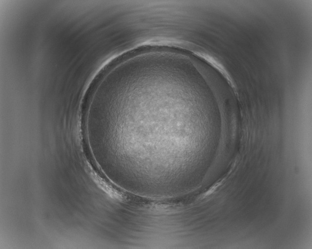 X0000079320976200611171118