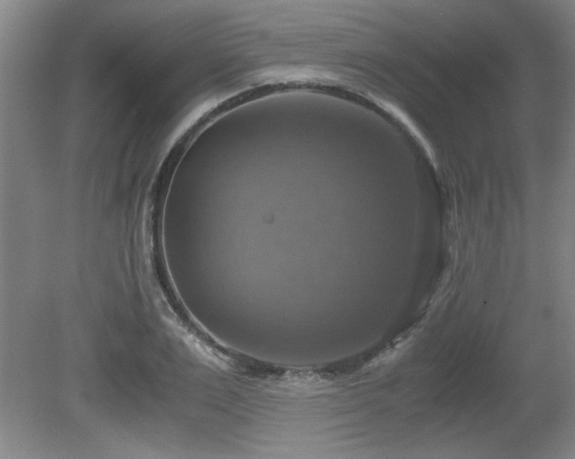 X0000079320983200611171118