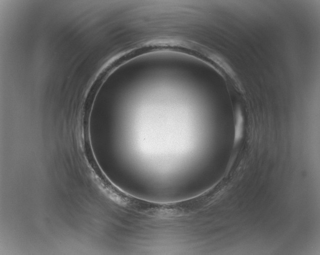 X0000079320984200611171118