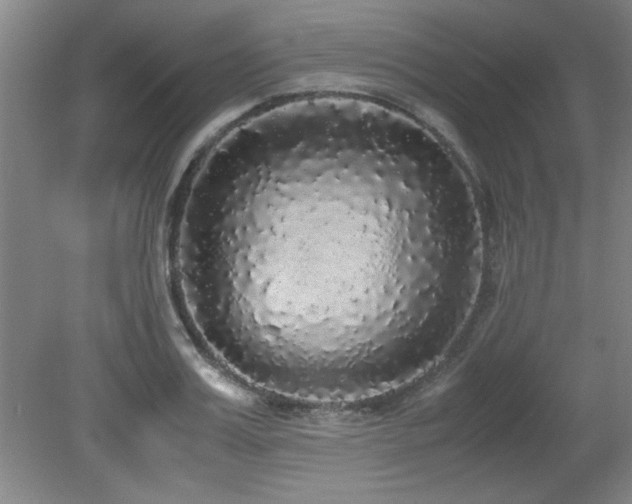 X0000079320987200611171118