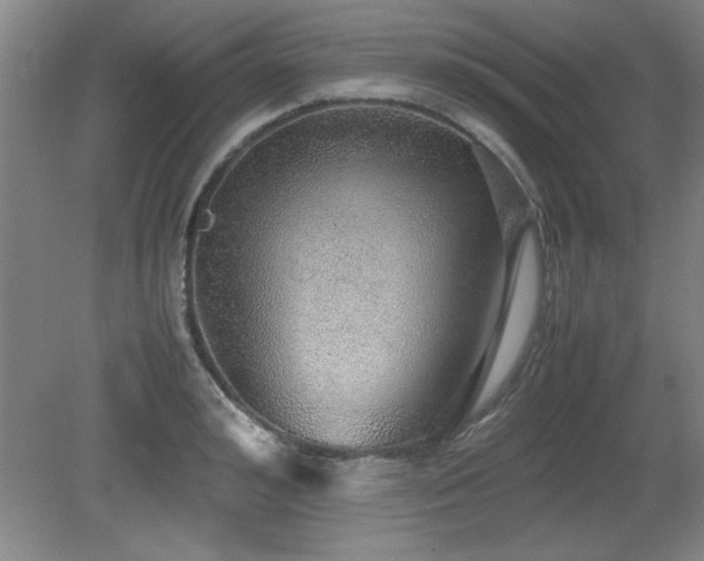 X0000079320992200611171118