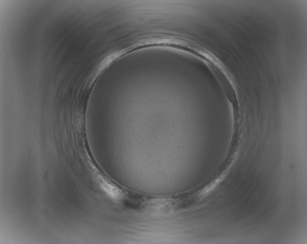 X0000079320993200611171118