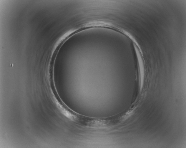 X0000079320995200611171118