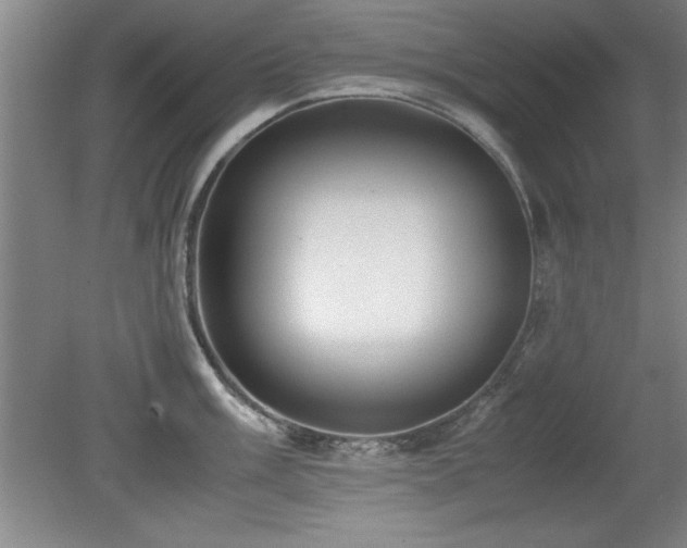 X0000079321003200611171118